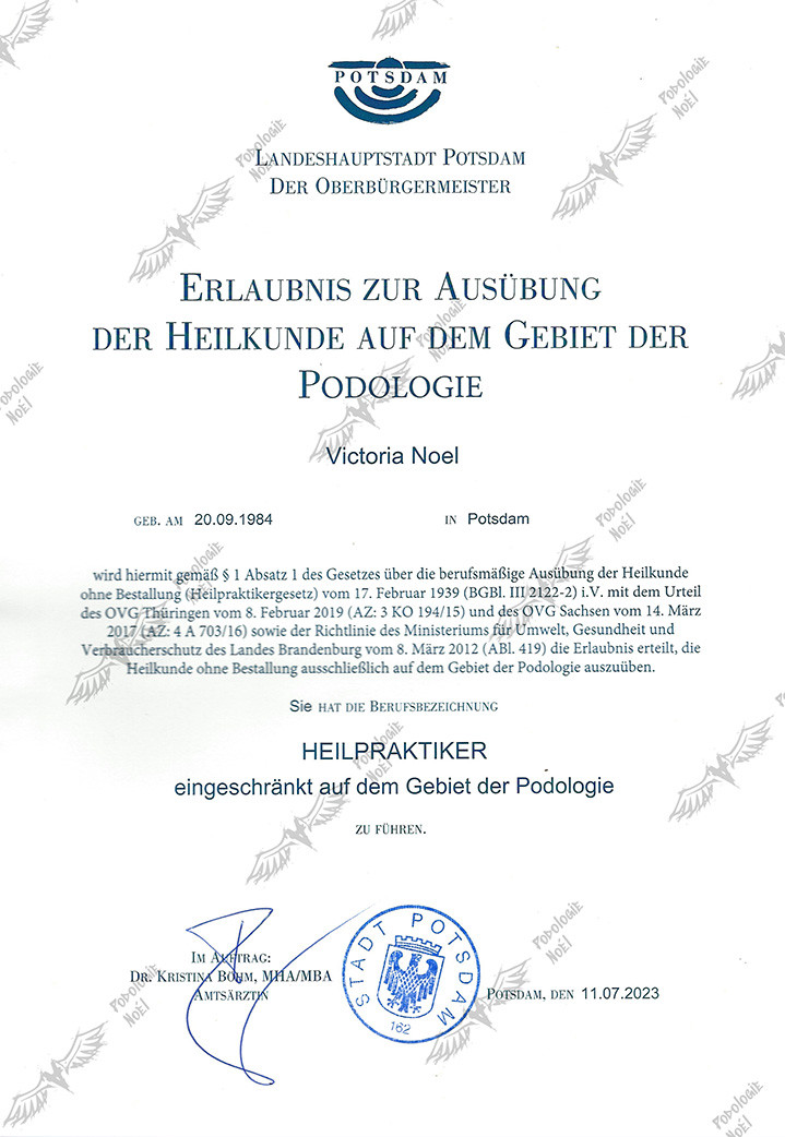 Galeriebild 9