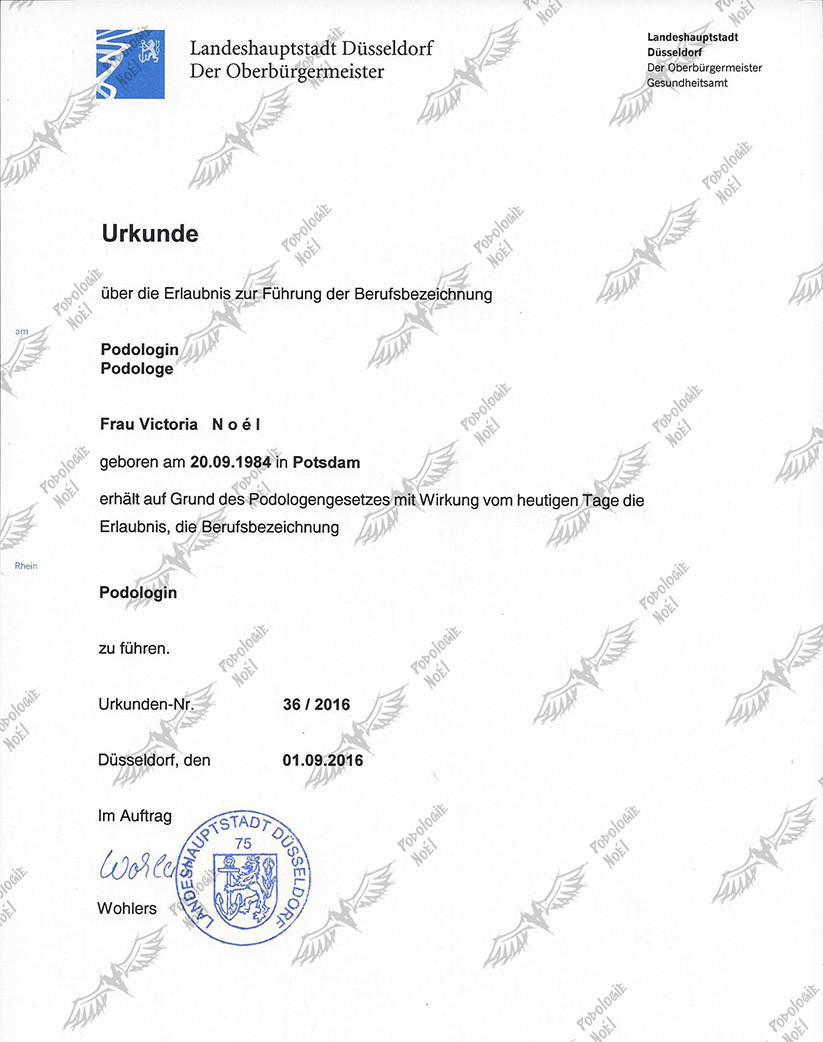 Galeriebild 10