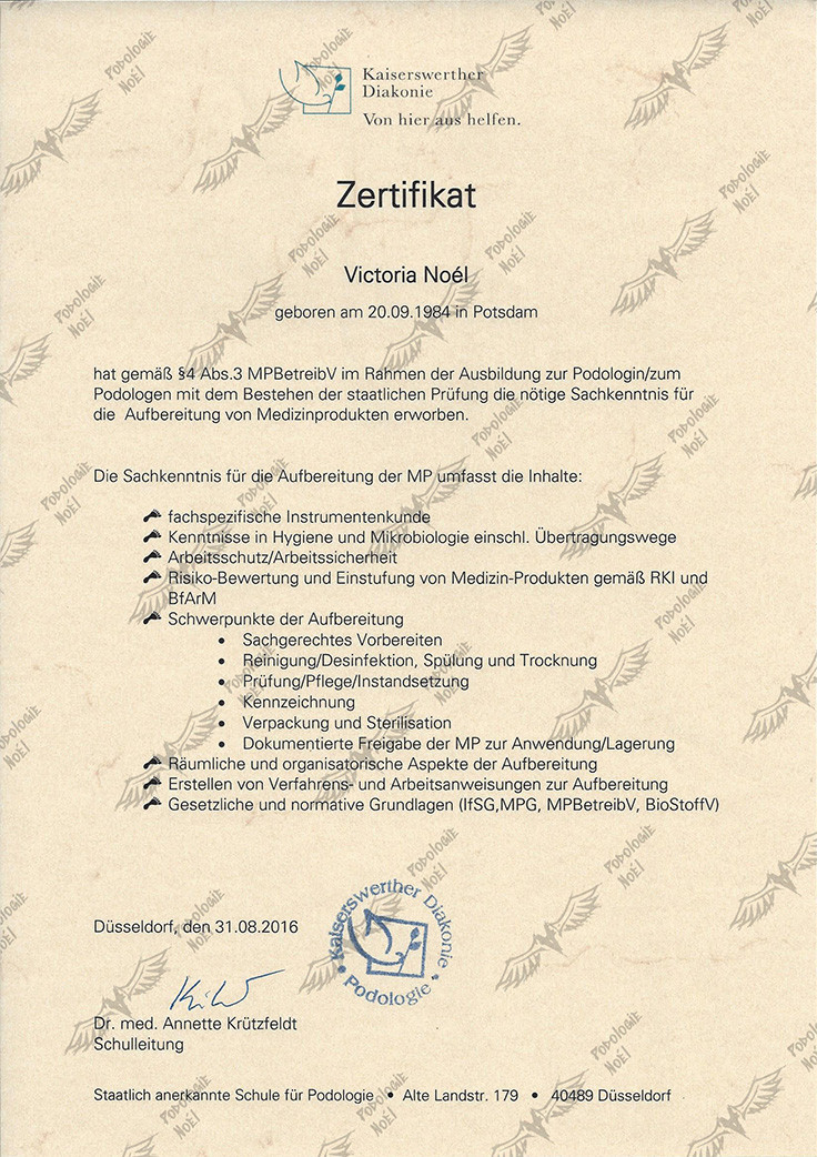 Galeriebild 12